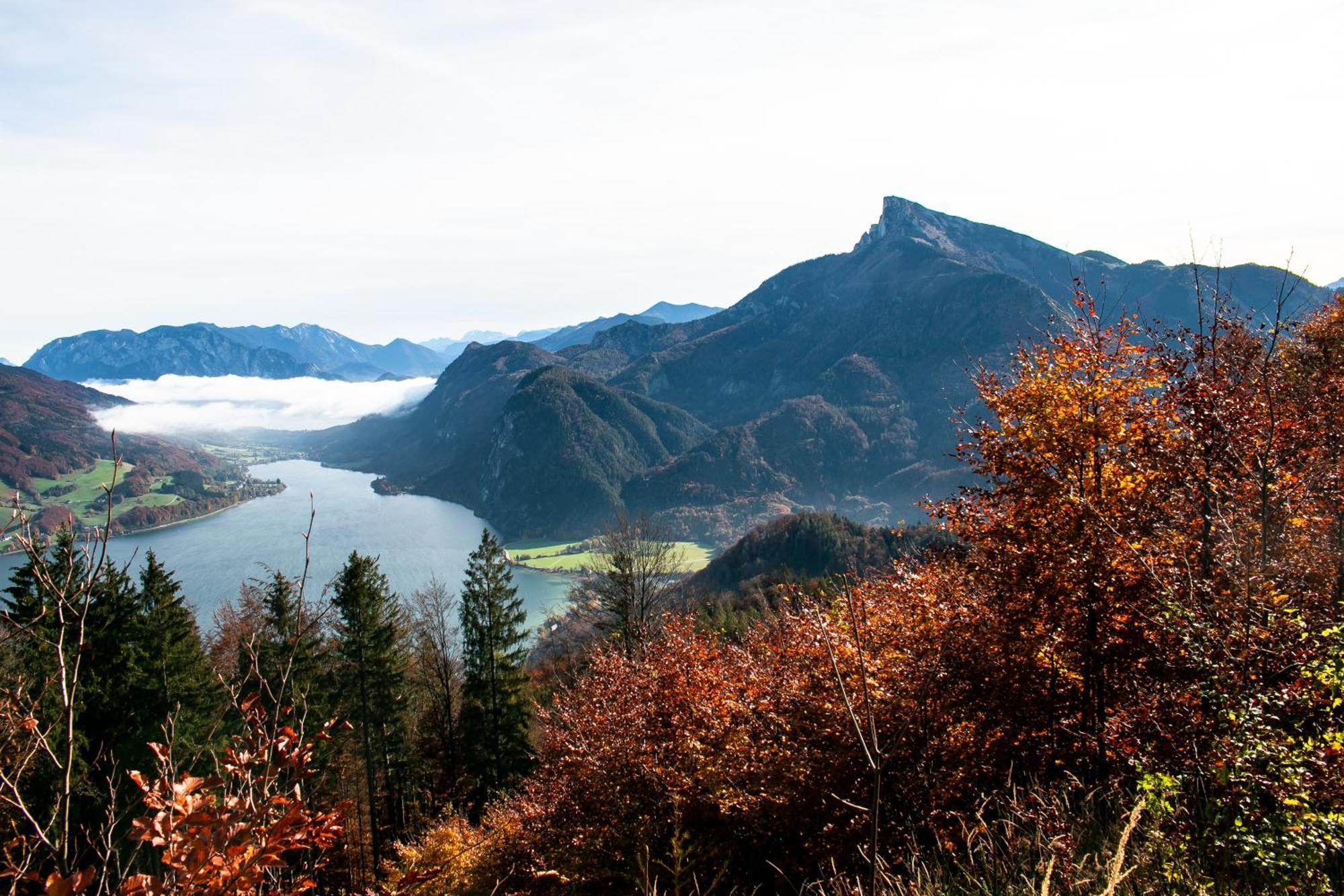 Apartamento Apartment Ferienwohnung Das Unterach Am Attersee